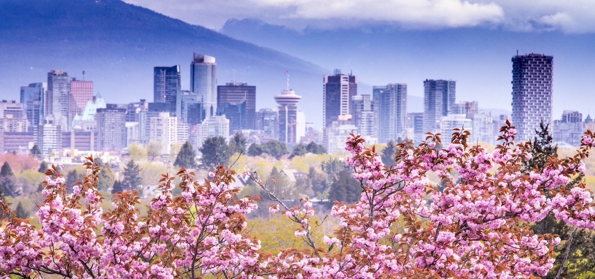 vancouver city guide vancouver canada cherry blossoms vancouver skyline