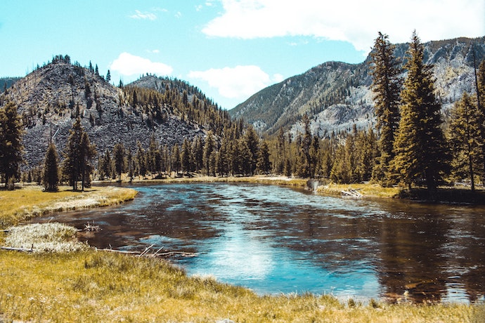 Yellowstone view