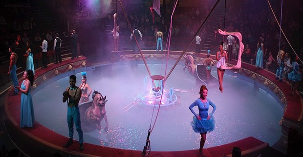 Blackpool tower circus