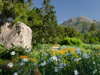 Santa Barbara Botanic Garden National Parks Natural World   Santa Barbara Botanic Garden 4 