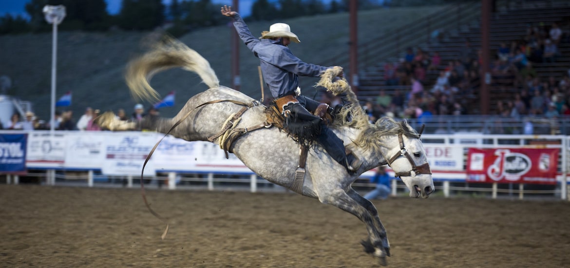 cody wyoming stampede rodeo family days out cody city guide