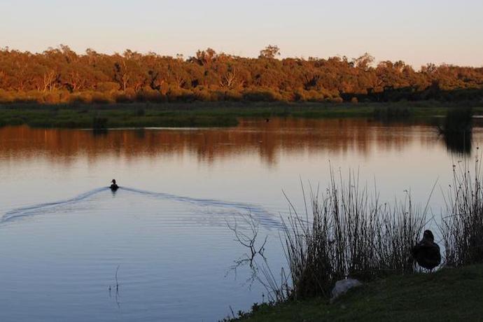 The Best Family Perth City Guide!