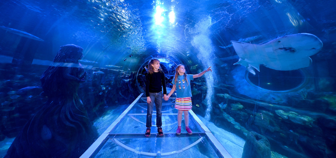 kids in tunnel enjoying fish