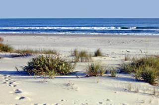 Hammocks beach hotsell state park