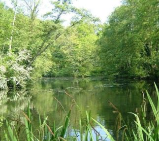 brockhill-park-lake