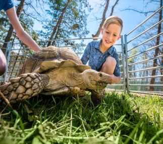 promised land zoo Branson missouri zoo fun for kids experience animal encounters