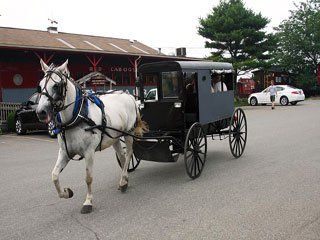 Amish village 2024 buggy rides