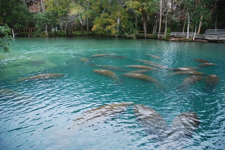 florida state parks near me        <h3 class=