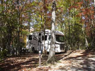 Bear Den Campground in Nebo | North Carolina - on FamilyDaysOut.com