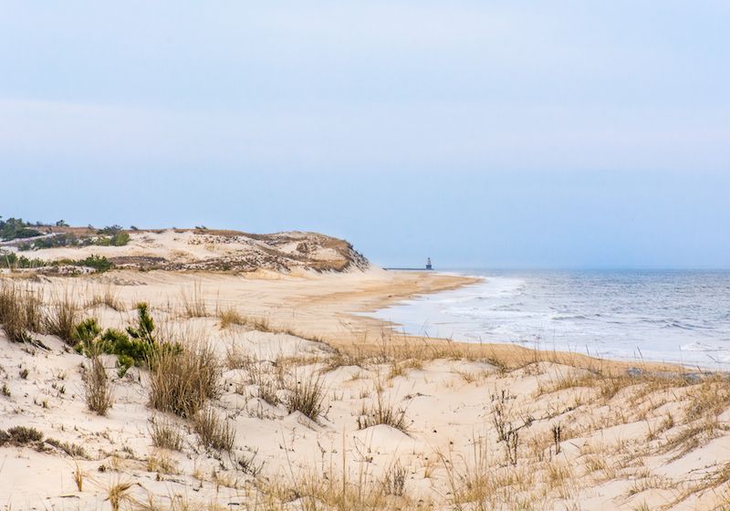 are dogs allowed in cape henlopen state park