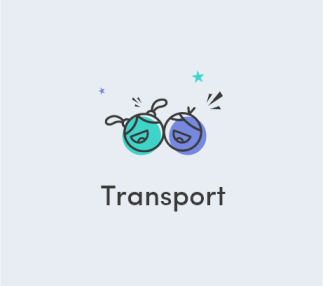 Transport Attractions