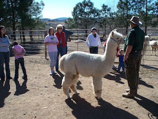 Zippity Zoo Barnyard In Loveland | Colorado - On FamilyDaysOut.com