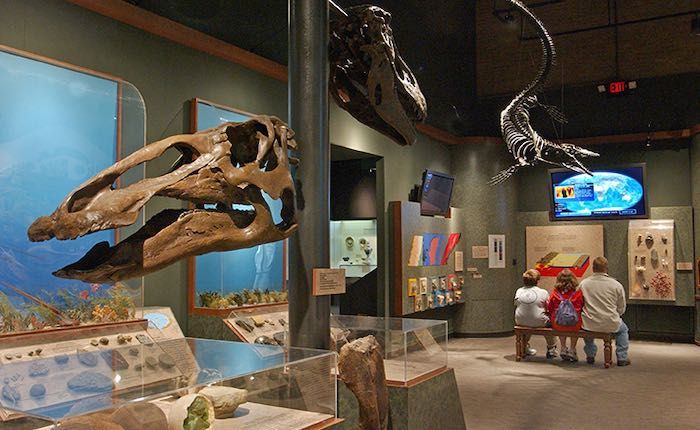 Mcclung Museum Of Natural History And Culture In Knoxville