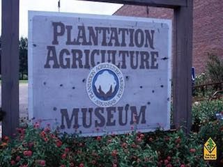 Plantation agricultural museum